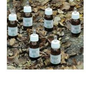 Ka Planta Olio Massaggio 30ml