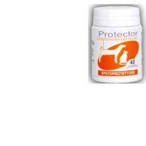 Protector Hepatoprotector 40 tablets