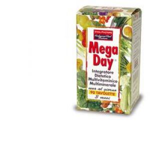 Mega Day 90 Tablets