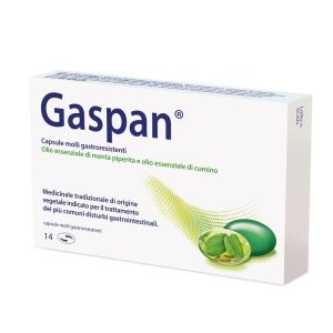 Schwabe Gaspan 14 Capsule Molli Gastroresistenti