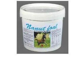 Nanut Foal Polvere Mangime Complementare D'allattamento Per Puledri 5kg