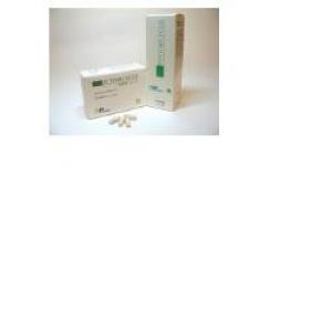Fitomuscle Cream Tube 100ml