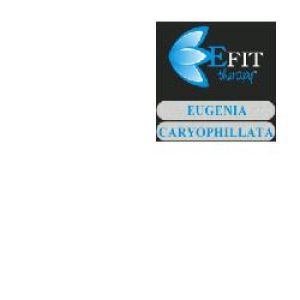 Eugenia Caryophyllata Fluid Extract Food Supplement 30ml