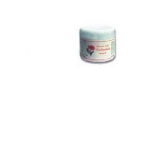 Currant Echinacea Body Ointment 100ml 1 Piece
