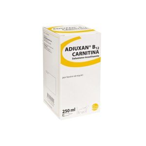 Rossovet Carnitina Iniet Orale Soluzione 1 Flacone 500ml