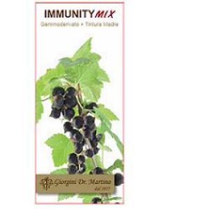 Dr. Giorgini Immunitymix Alcohol-Free Liquid 100ml
