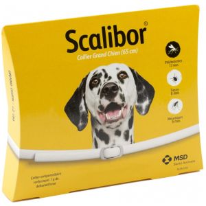 Scalibor Antiparasitic Collar Large Dogs