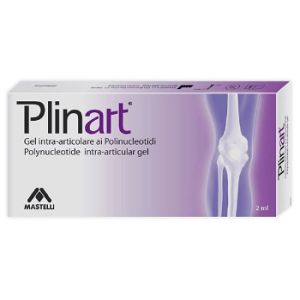 Plinart Siringa Pre-riempita Gel Intra-articolare 2ml