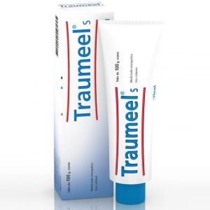 Heel Traumeel S Ointment 100 g