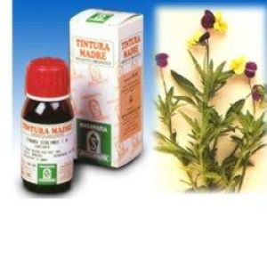 Specchiasol Hydroalcoholic Solution 32 Pansy 50ml