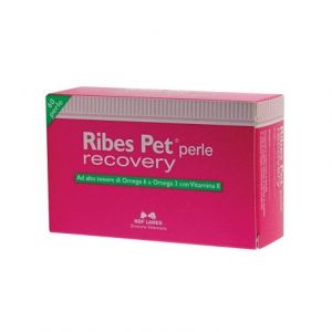 Nbn Lanes Ribes Pet Recovery Dermatitis Supplement for Dogs and Cats 60 Pearls