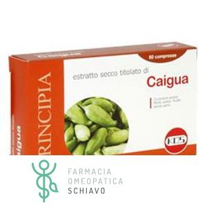 Kos Caigua Dry Extract Food Supplement 60 Tablets Of 22.2g