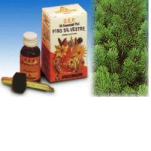 Specchiasol OEP Pure Essential Oil Scots Pine 10 ml