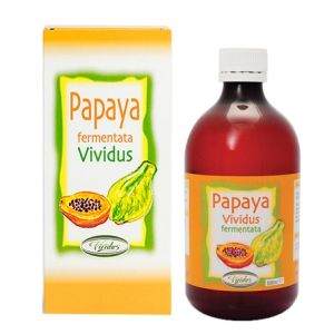 Papaya Fermentata 500ml