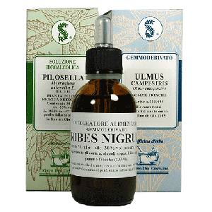 Fumitory 100ml Mother Tincture