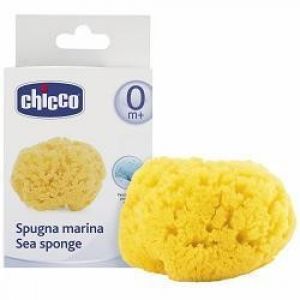 Natural Marine Sponge - Medium Chicco