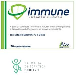 Immune Supplement 30 Capsules
