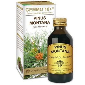 Gemmo 10+ Pino Montano 100ml Liquido Analcolico