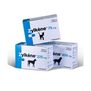 Vetoquinol Zylkene Supplement Behavior Problems Large Dogs 20 Capsules 450 mg