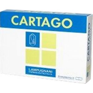 Cartago Joint Wellness 20 Tablets