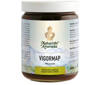 Vigormap Supplement Convalescence Pasta 600 Gr