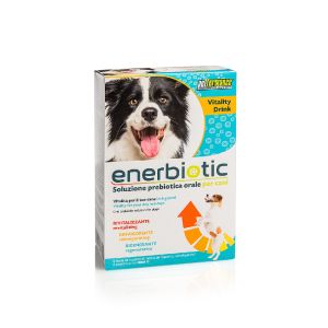 Petformance Enerbiotic Dog 4 Sachets X 60ml