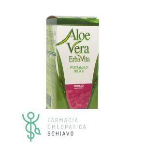 Erba Vita Pure Aloe Vera Juice 100% Fresh Blueberry Aroma Depurative Supplement 500 ml