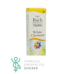 Guna Bach Flowers White Chestnut Concentration Drops 10 Ml
