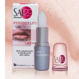 Sal-29 perfect lips remodeling and plumping lips stick 4 g