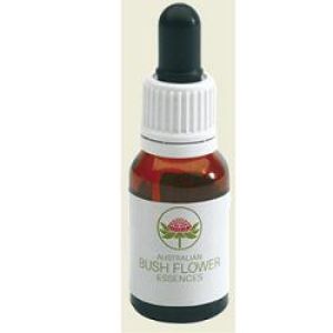 Australian Flowers Five Corners Drops 15ml