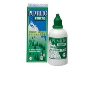 Pumilio Forte Balsamic Essence Natural Essential Oils Pine