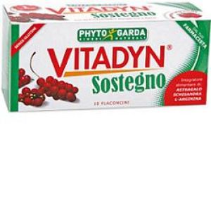 Vitadyn Sostegno 10 Flaconcini Da 10ml