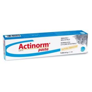 Ceva Actinorm Pasta Intestinal Supplement for Cats 65g