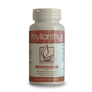 Dab 007 phyllanthus food supplement 60 tablets