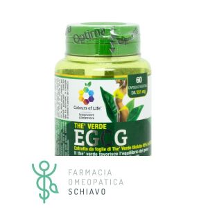 Optima Colors Of Life Green Tea EGCG Draining Supplement 60 Capsules