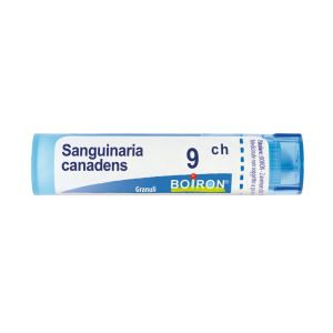 Boiron  Sanguinaria Canadensis  Boiron  80 Granuli 9 Ch Contenitore Multidose