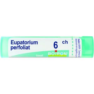 Eupatorium Perfoliatum  Boiron  80 Granuli 6 Ch Contenitore Multidose 4g