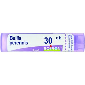 Bellis Perennis  Boiron  80 Granuli 30 Ch Contenitore Multidose