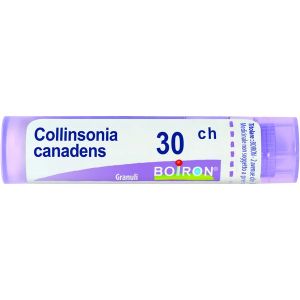 Collinsonia Canadensis  Boiron  80 Granuli 30 Ch Contenitore Multidose
