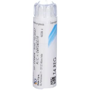 T4 Reg 1 Contenitore Multid 4g 80 Granuli