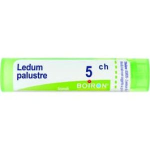 Ledum Palustre  Boiron  80  5 Ch   4g Granuli Contenitore MULTIdose