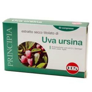 Uva ursina estratto secco 60 compresse
