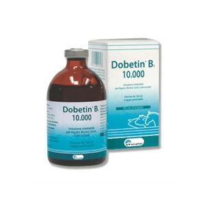 Dobetin B1 Iniet Soluzione 1 Flacone 100ml 1mg/ml + 100mg/ml