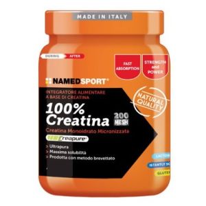 Named Sport 100% Creatine Integratore Di Creatina Monoidrato 250g