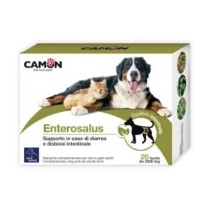 Enterosalus 20 Bustine 2,5g