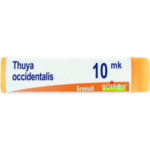 Boiron Thuya Occidentalis Globuli 10mk Dose 1g