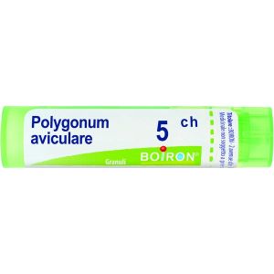 Boiron Polygonum Aviculare Granuli 05ch Tubo 4g