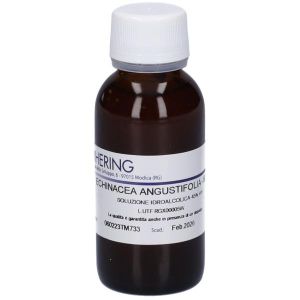 Hering Echinacea Angustifolia Tintura Madre 60ml