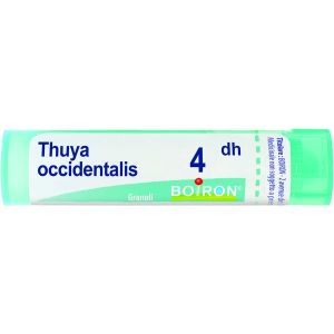 Boiron Thuya Occidentalis Granuli 04dh Tubo 4g
