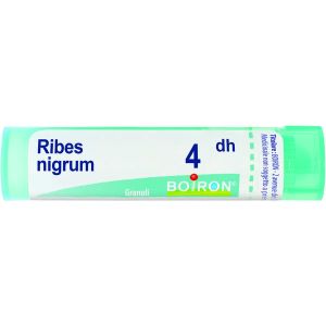 Boiron Ribes Nigrum Granuli 04dh Tubo 4g
